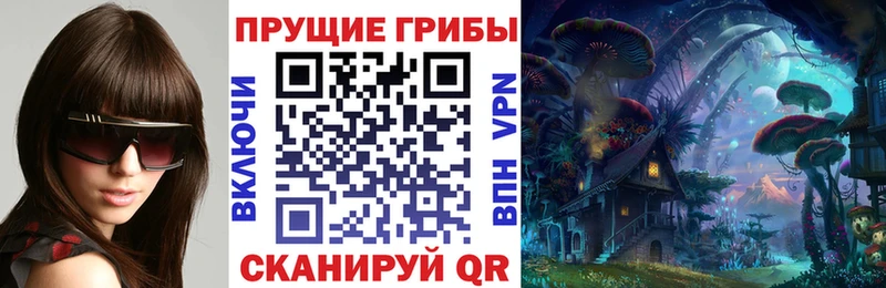 Галлюциногенные грибы Psilocybine cubensis что такое наркотик Суджа